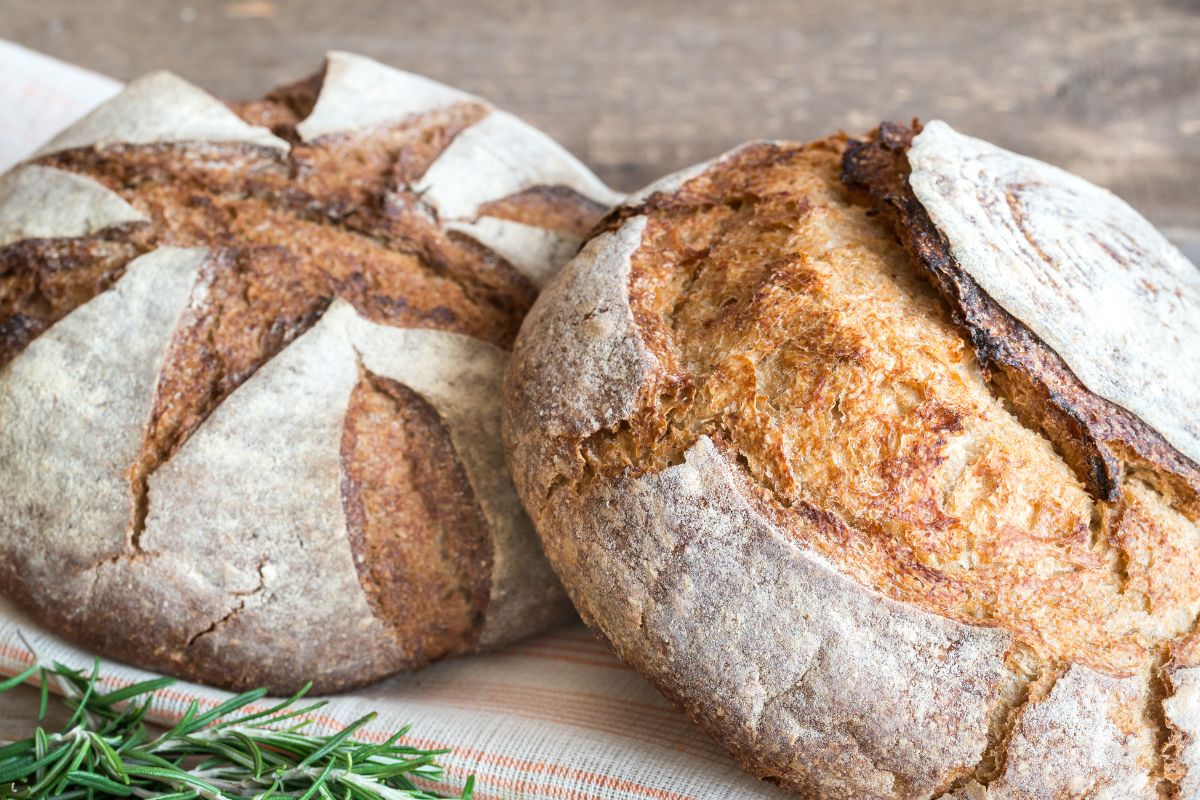 Sourdough bread good for your stomach - fresh sourdough loaf