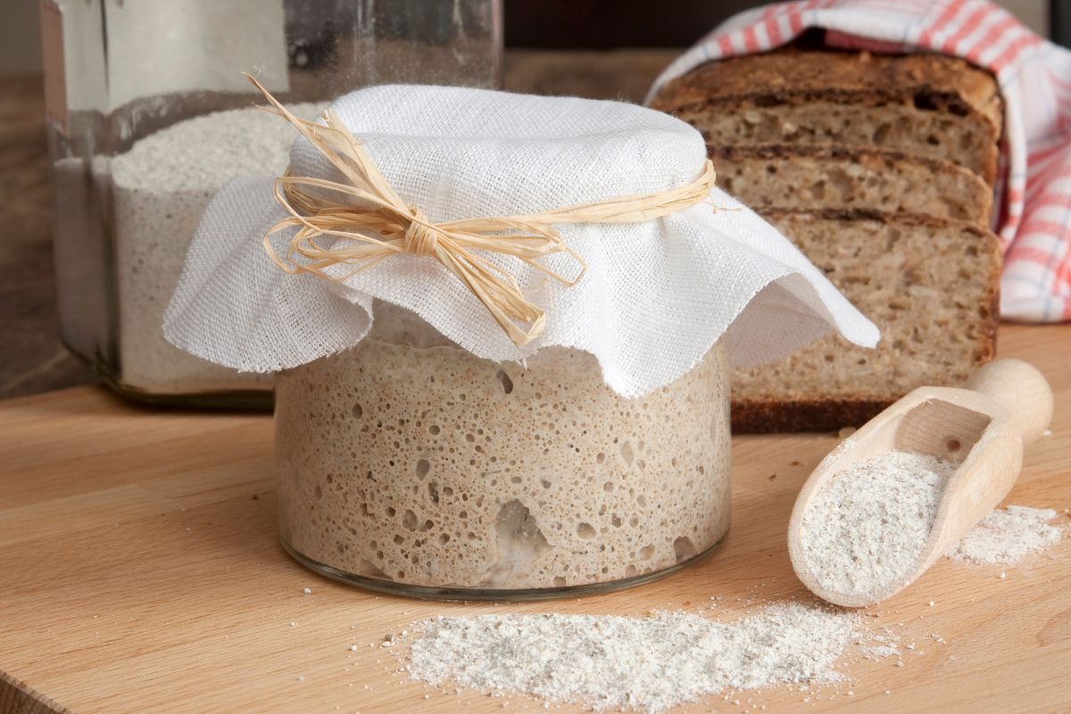 moist discard sourdough banana bread slice