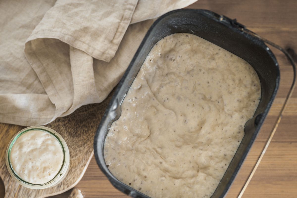 Ingredients for sourdough banana bread recipe