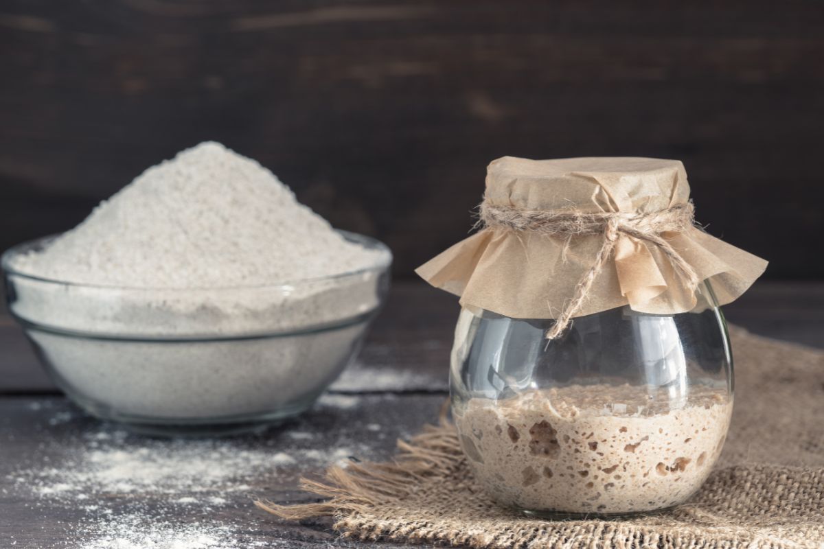 Rye Sourdough Starter